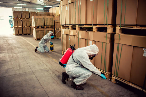 Pest Control for Restaurants in Leadville North, CO