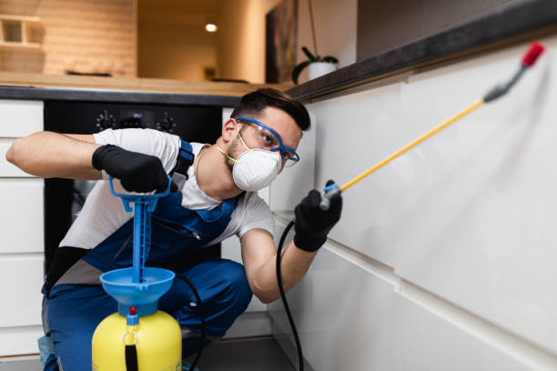 Best Wasp Removal Services  in Leadville North, CO