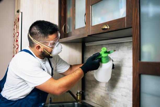 Best Pest Prevention Services  in Leadville North, CO
