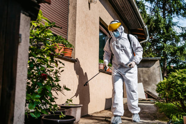 Best Best Pest Control Companies  in Leadville North, CO
