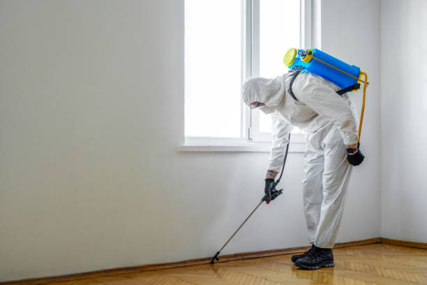 Best Pest Control Treatment  in Leadville North, CO