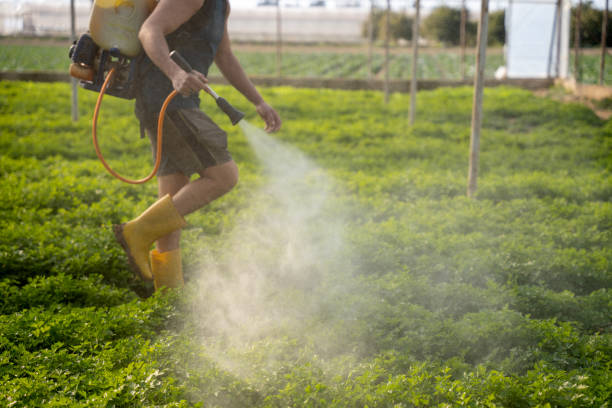 Best Mosquito Control Services  in Leadville North, CO