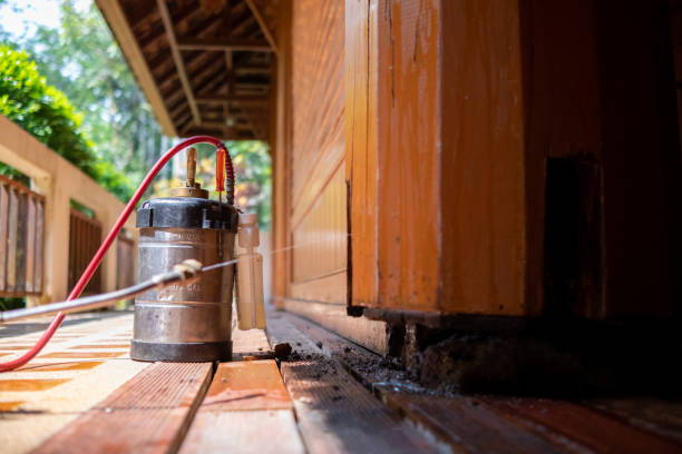 Best Insect Control  in Leadville North, CO