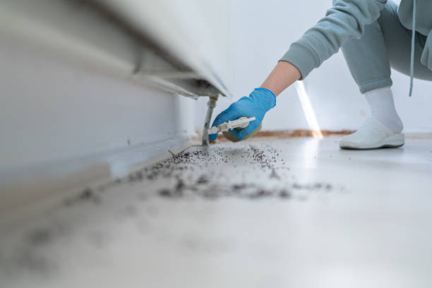 Best Best Pest Control Companies  in Leadville North, CO