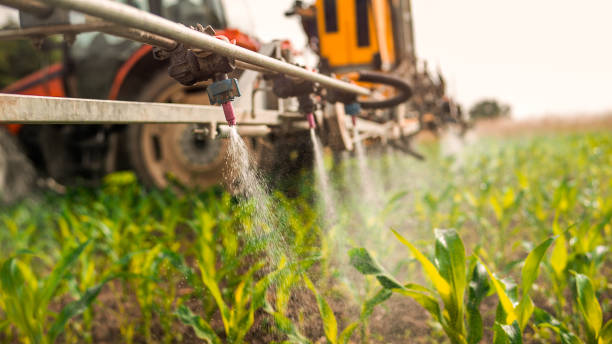 Best Pest Prevention Services  in Leadville North, CO